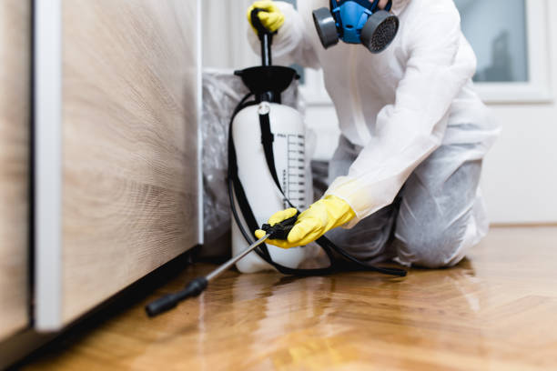 Best Exterminator Services  in Manahawkin, NJ