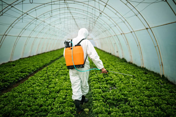 Best Pest Removal Services  in Manahawkin, NJ