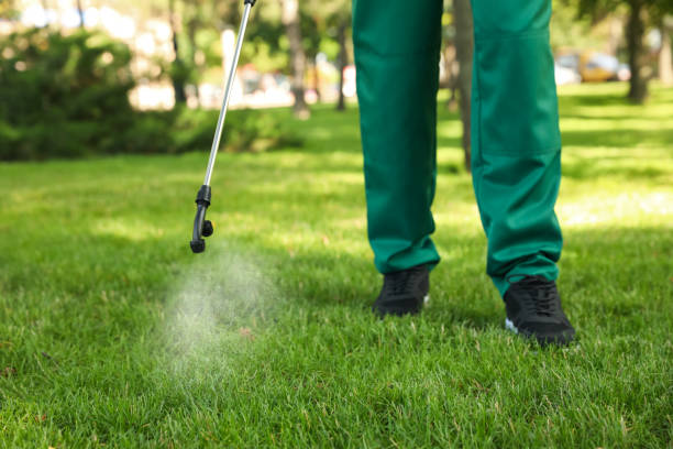 Best Residential Pest Control  in Manahawkin, NJ