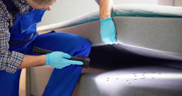 Best Flea Control Services  in Manahawkin, NJ
