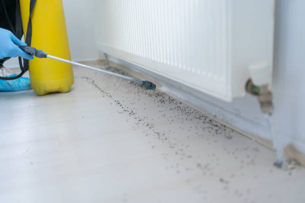 Best Pest Control Near Me in Manahawkin, NJ