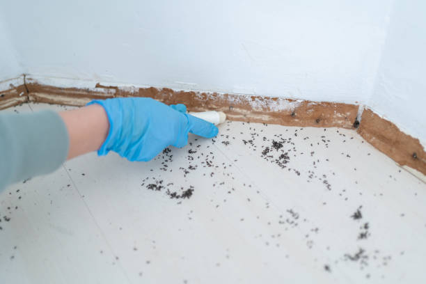 Best Commercial Pest Control Services  in Manahawkin, NJ